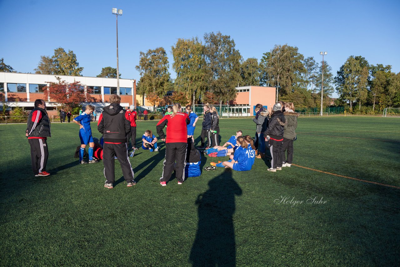 Bild 254 - Frauen SV Henstedt Ulzburg II - TSV Russee : Ergebnis: 6:0